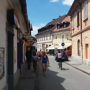 Vandrerhjem Sleeping Beauty, Ljubljana